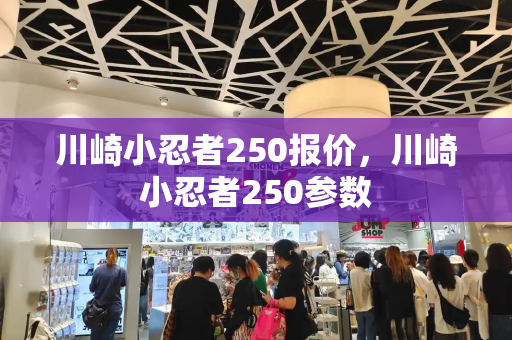 川崎小忍者250报价，川崎小忍者250参数