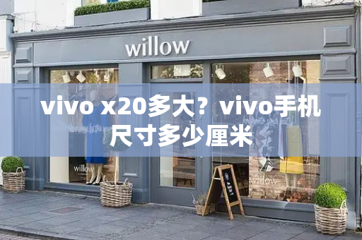 vivo x20多大？vivo手机尺寸多少厘米-第1张图片-星选测评