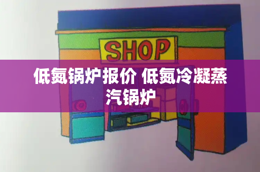 低氮锅炉报价 低氮冷凝蒸汽锅炉