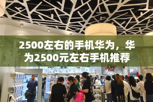 2500左右的手机华为，华为2500元左右手机推荐-第1张图片-星选测评