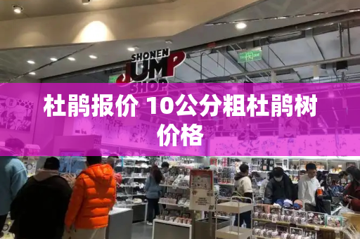 杜鹃报价 10公分粗杜鹃树价格