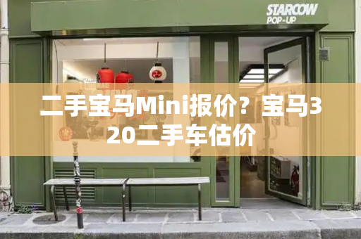 二手宝马Mini报价？宝马320二手车估价