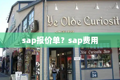 sap报价单？sap费用-第1张图片-星选测评