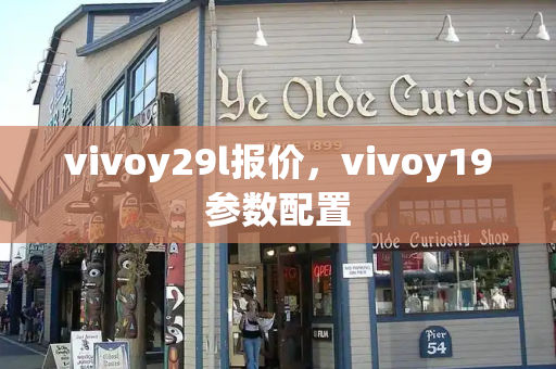 vivoy29l报价，vivoy19参数配置-第1张图片-星选测评