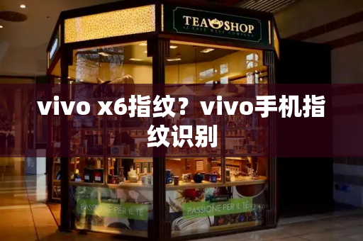 vivo x6指纹？vivo手机指纹识别-第1张图片-星选测评