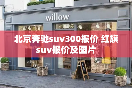 北京奔驰suv300报价 红旗suv报价及图片-第1张图片-星选测评