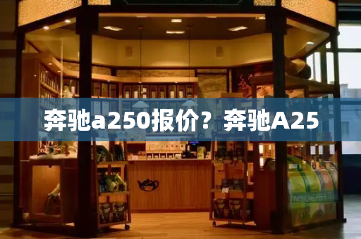 奔驰a250报价？奔驰A250-第1张图片-星选测评