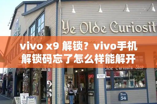 vivo x9 解锁？vivo手机解锁码忘了怎么样能解开-第1张图片-星选测评