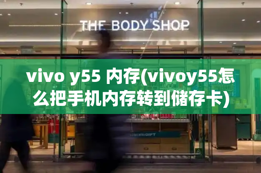 vivo y55 内存(vivoy55怎么把手机内存转到储存卡)