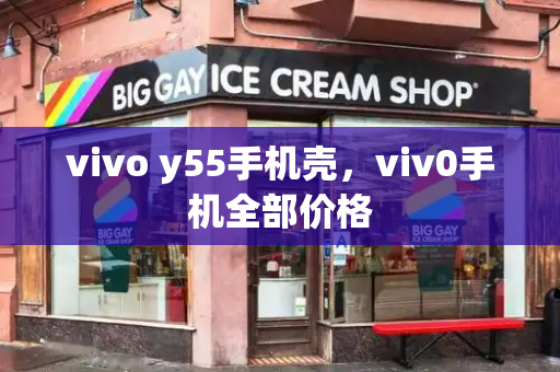 vivo y55手机壳，viv0手机全部价格-第1张图片-星选测评