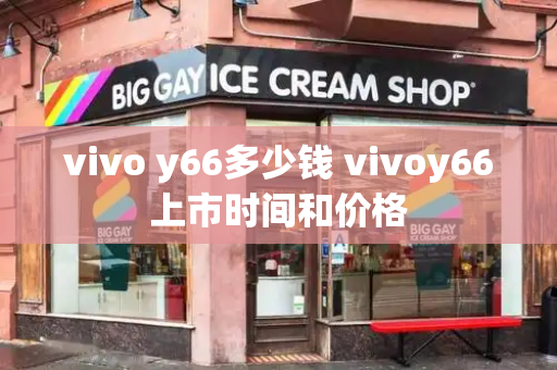 vivo y66多少钱 vivoy66上市时间和价格