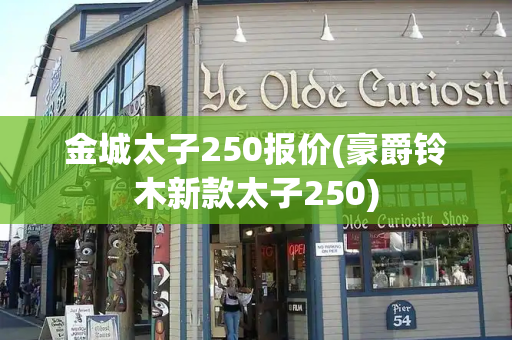 金城太子250报价(豪爵铃木新款太子250)