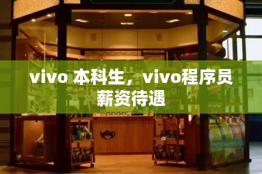 vivo 本科生，vivo程序员薪资待遇