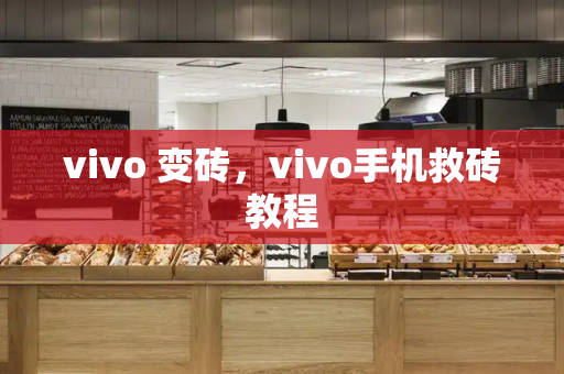 vivo 变砖，vivo手机救砖教程-第1张图片-星选测评