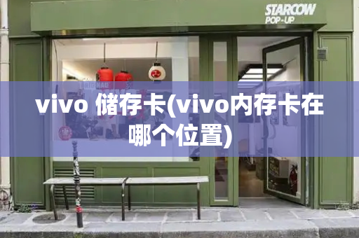 vivo 储存卡(vivo内存卡在哪个位置)