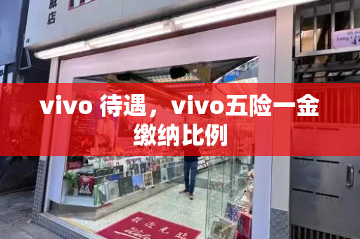 vivo 待遇，vivo五险一金缴纳比例-第1张图片-星选测评