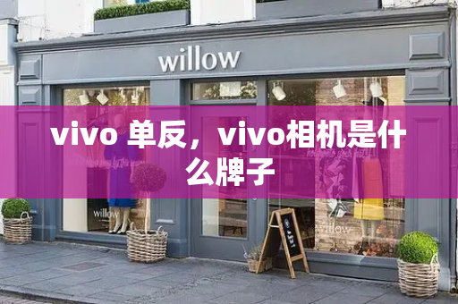 vivo 单反，vivo相机是什么牌子-第1张图片-星选测评