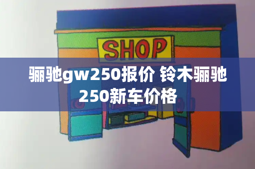 骊驰gw250报价 铃木骊驰250新车价格-第1张图片-星选测评