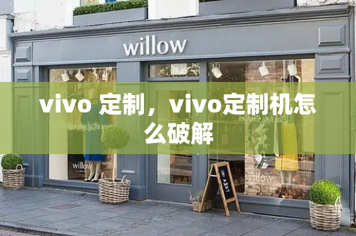 vivo 定制，vivo定制机怎么破解-第1张图片-星选测评