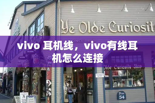 vivo 耳机线，vivo有线耳机怎么连接-第1张图片-星选测评