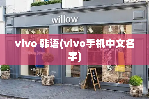 vivo 韩语(vivo手机中文名字)