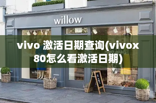 vivo 激活日期查询(vivox80怎么看激活日期)-第1张图片-星选测评