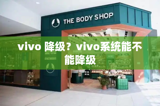 vivo 降级？vivo系统能不能降级-第1张图片-星选测评