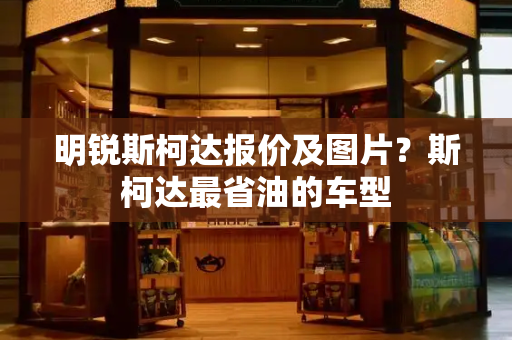 明锐斯柯达报价及图片？斯柯达最省油的车型-第1张图片-星选测评