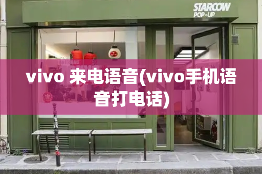 vivo 来电语音(vivo手机语音打电话)