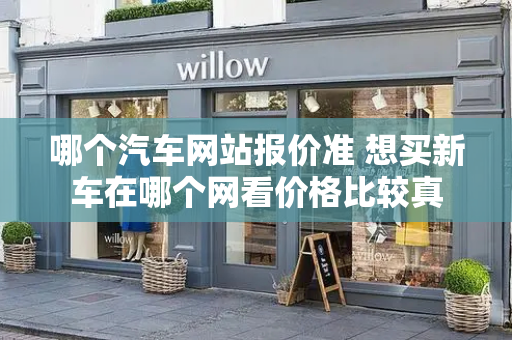 哪个汽车网站报价准 想买新车在哪个网看价格比较真-第1张图片-星选测评