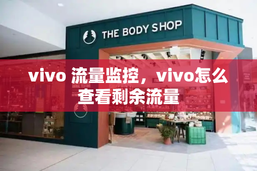 vivo 流量监控，vivo怎么查看剩余流量