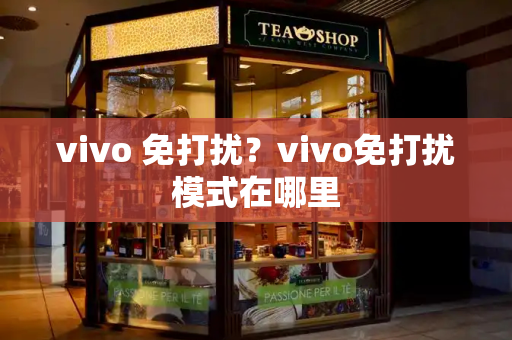 vivo 免打扰？vivo免打扰模式在哪里-第1张图片-星选测评