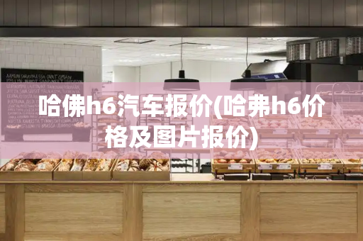 哈佛h6汽车报价(哈弗h6价格及图片报价)