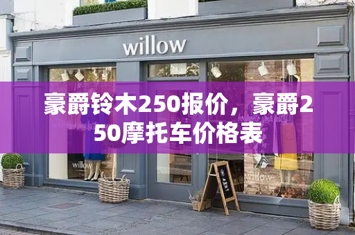 豪爵铃木250报价，豪爵250摩托车价格表-第1张图片-星选测评