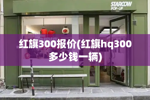 红旗300报价(红旗hq300多少钱一辆)