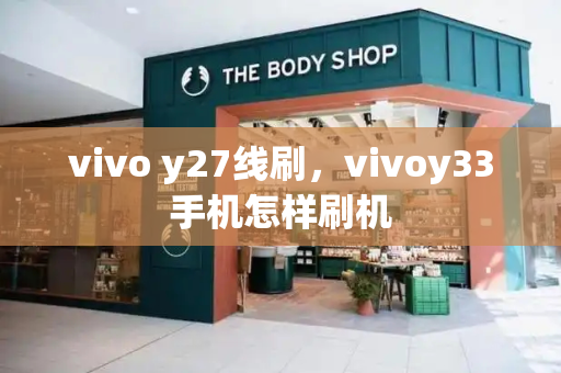 vivo y27线刷，vivoy33手机怎样刷机-第1张图片-星选测评