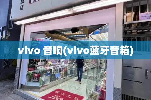 vivo 音响(vivo蓝牙音箱)-第1张图片-星选测评