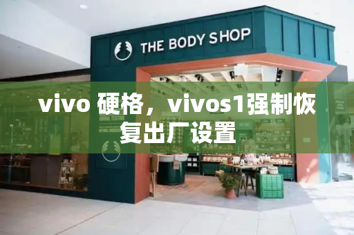 vivo 硬格，vivos1强制恢复出厂设置-第1张图片-星选测评