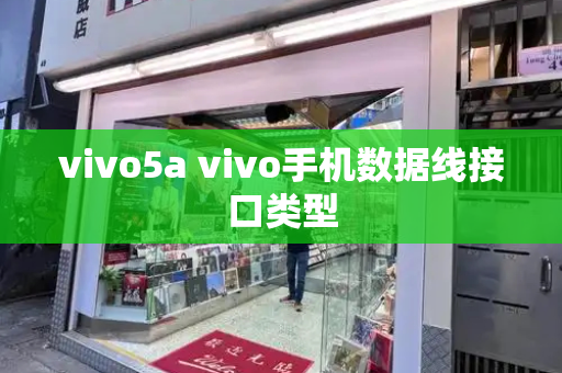 vivo5a vivo手机数据线接口类型-第1张图片-星选测评