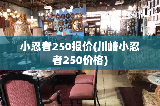 小忍者250报价(川崎小忍者250价格)