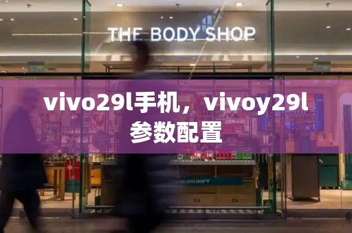 vivo29l手机，vivoy29l参数配置