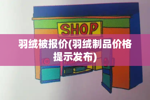 羽绒被报价(羽绒制品价格提示发布)