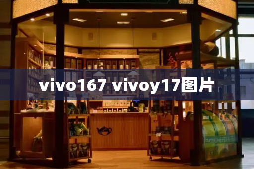 vivo167 vivoy17图片-第1张图片-星选测评