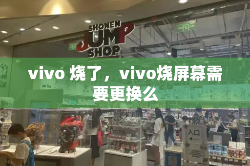 vivo 烧了，vivo烧屏幕需要更换么