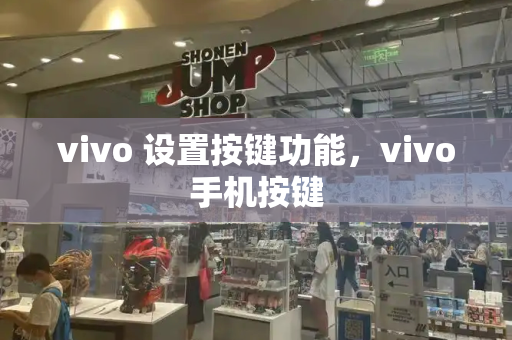 vivo 设置按键功能，vivo手机按键