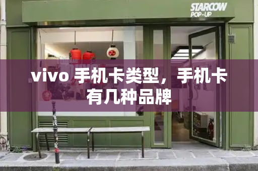 vivo 手机卡类型，手机卡有几种品牌-第1张图片-星选测评