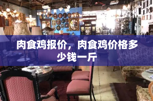 肉食鸡报价，肉食鸡价格多少钱一斤-第1张图片-星选测评