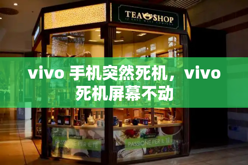 vivo 手机突然死机，vivo死机屏幕不动-第1张图片-星选测评