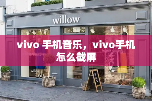 vivo 手机音乐，vivo手机怎么截屏-第1张图片-星选测评