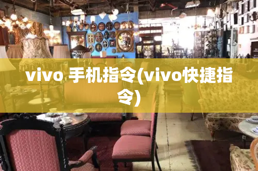 vivo 手机指令(vivo快捷指令)